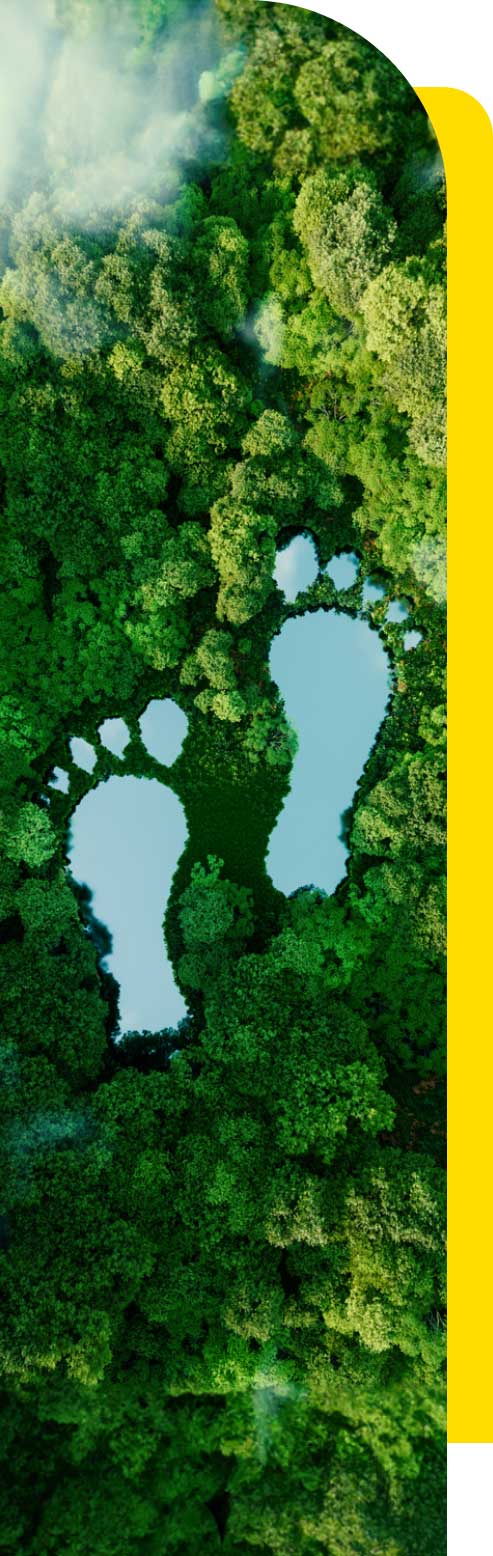Zwei große Fußabdrücke in einem Regenwald, die mit Wasser gefüllt sind